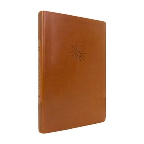 Bíblia Slim NVT - Letra Grande | Filament Marrom