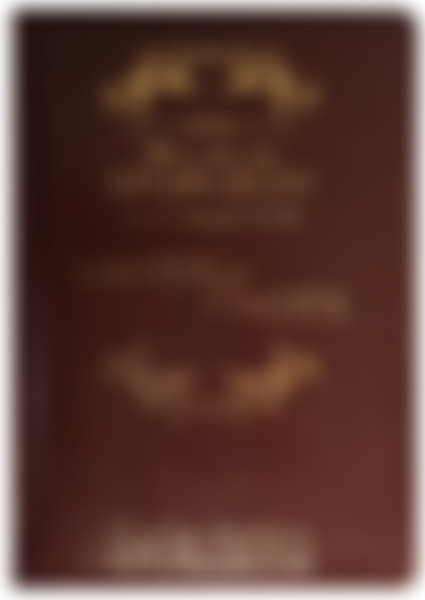 Foto Dia a Dia com Spurgeon | Capa Luxo Marrom