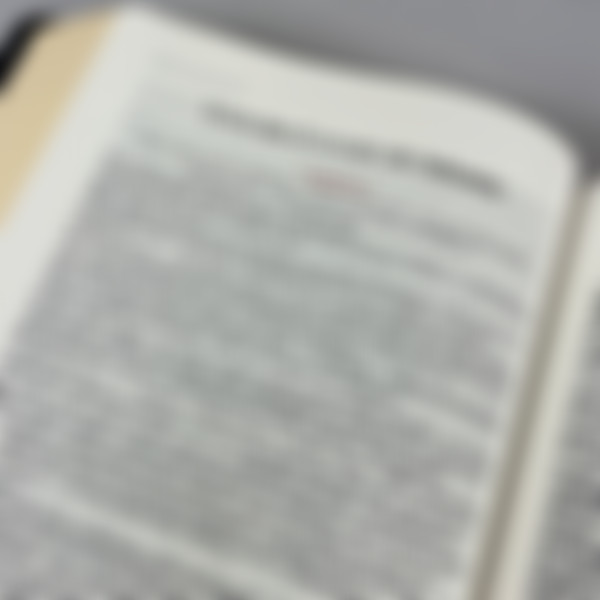 Foto Bíblia LTT | Estudo Literal do Texto Tradicional | Artística