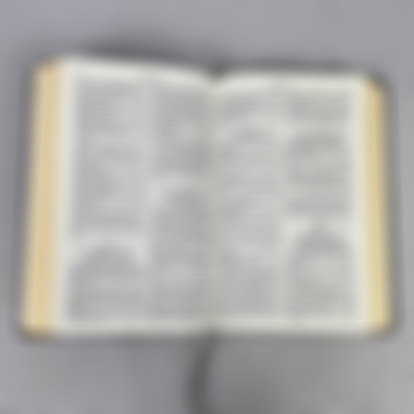 Foto Bíblia em Inglês | Holy Bible BKJ 1611  | Vinho