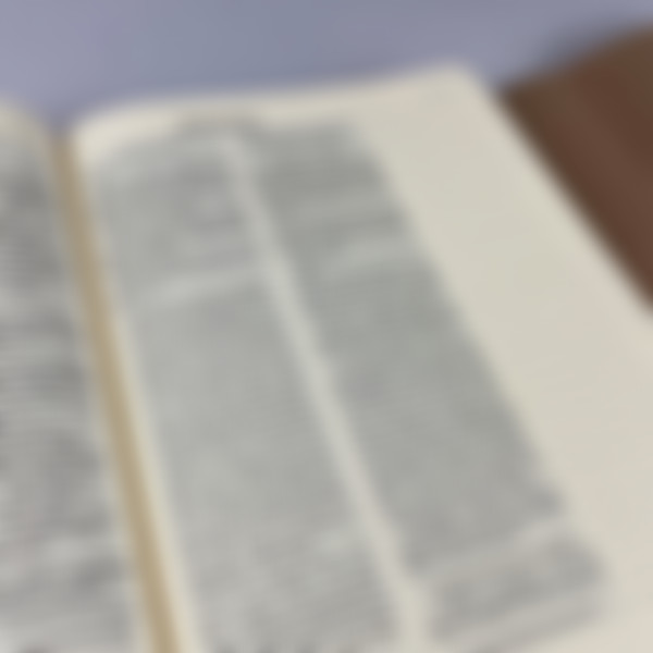 Foto Bíblia Sagrada NVI - Com espaço para anotações | Marrom