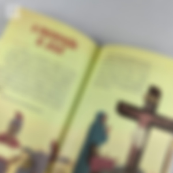 Foto Bíblia para crianças | Arca de Noé - Capa Dura (Bíblia infantil)