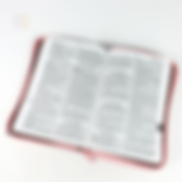 Foto Bíblia O Poder da Oração | Revista e Corrigida | Com zíper e índice lateral | Capa Rosa Claro