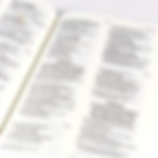 Foto Bíblia Sagrada NVI | Capa Luxo Vinho