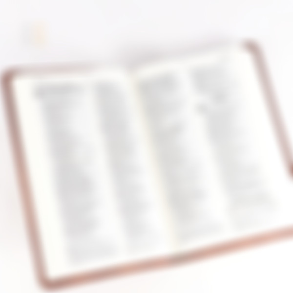 Foto Bíblia Sagrada NVI | Capa Luxo Marrom
