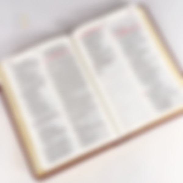 Foto Bíblia todo dia - Com espaço para anotações | Marrom