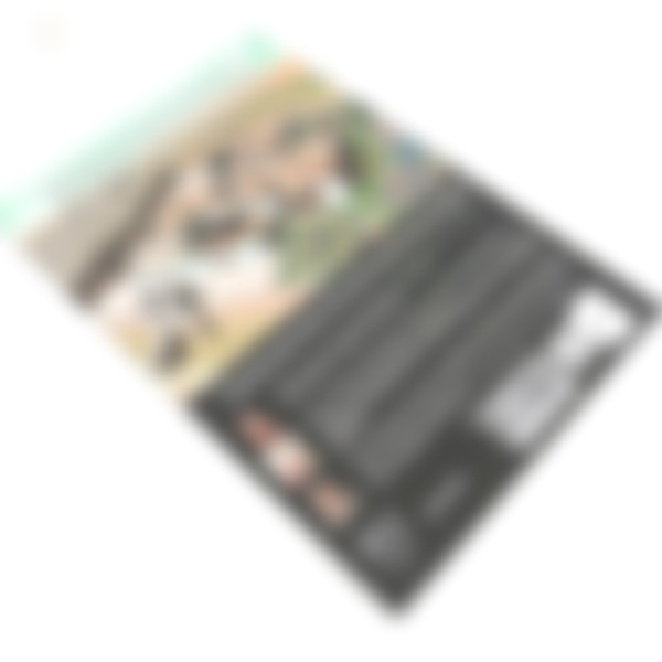 Foto Verso a Verso | A Bíblia em Quadrinhos - O Livro de Ester
