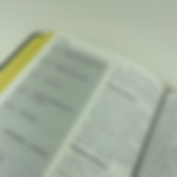 Foto Bíblia de Estudo Orientação | NVI - Capa Preta