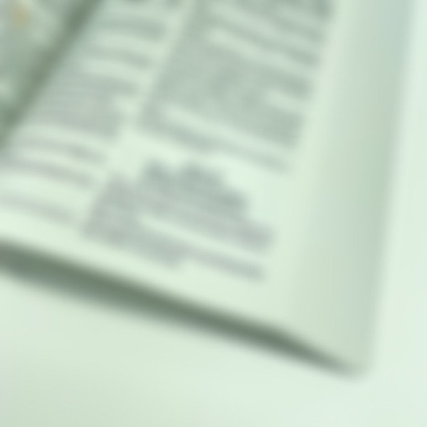 Foto Bíblia Evangelize NVI | Letra Grande - Brochura | Capa Celeste