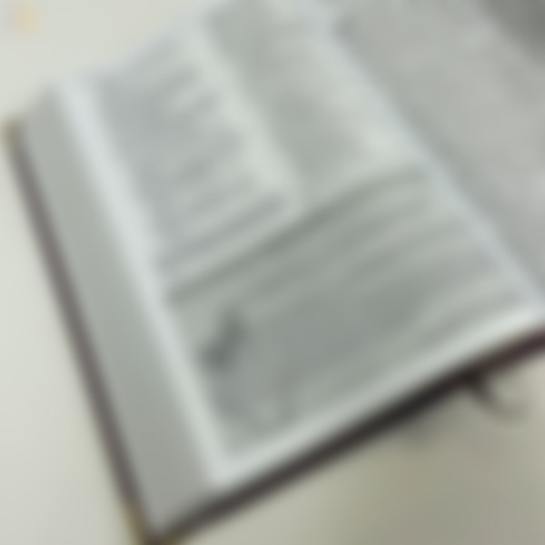 Foto Bíblia da Mulher de Fé - Sheila Walsh | Letra Grande - Couro Soft Vinho