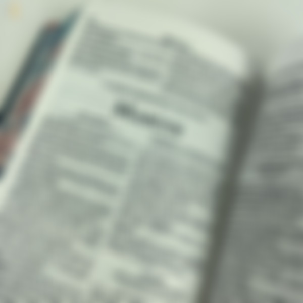 Foto Bíblia ARC Compacta | Letra Normal - Especial Rosas