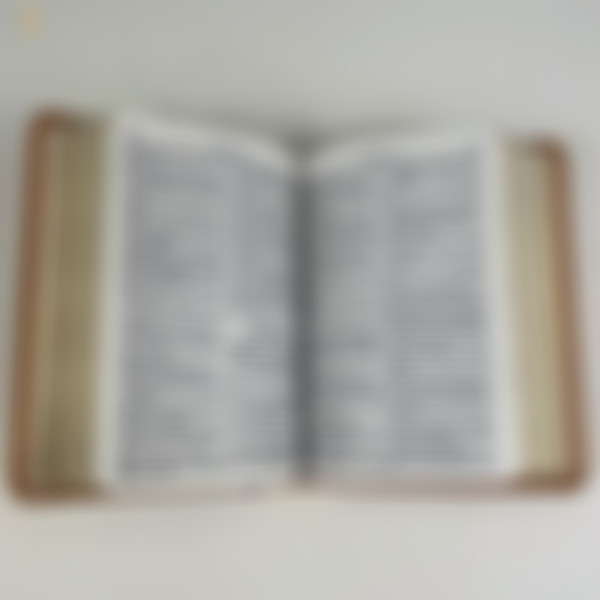Foto Bíblia ARC Compacta | Letra Normal - Caramelo