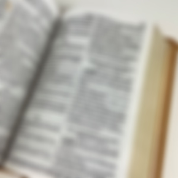 Foto Bíblia ARC Compacta | Letra Normal - Caramelo