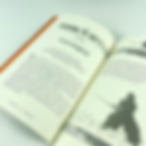 Foto O Guia Do Empreendedor para  Livro dos Cinco Anéis | Dominic Hale