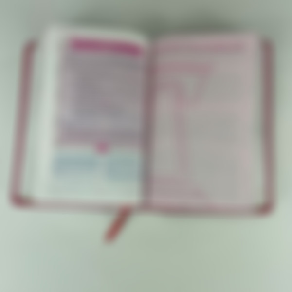 Foto A Bíblia da Pregadora Fiel | ARC | Textos Coloridos | Capa Vermelha