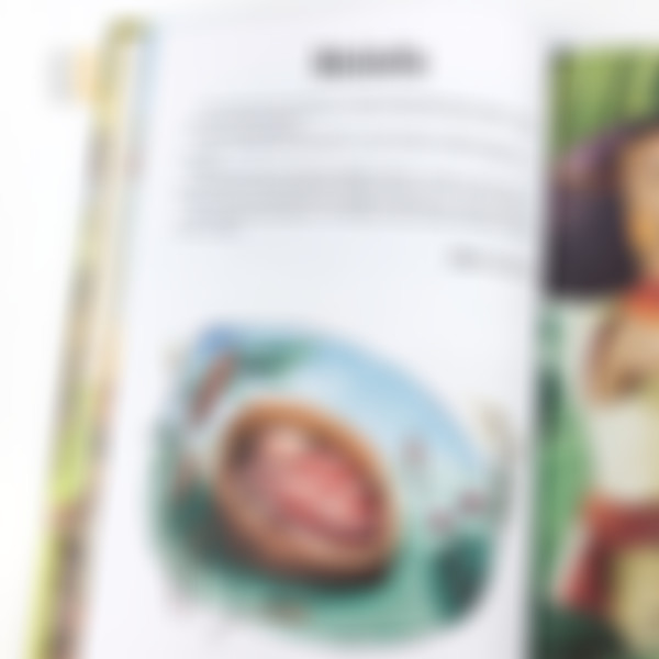 Foto Kit Crianças 3 livros: Bíblia Infantil + Bíblia em Quadrinhos + Corinhos para Crianças