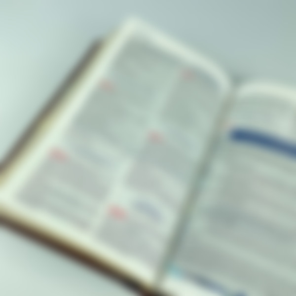 Foto A Bíblia do Pregador Fiel | ARC | Textos Coloridos | Capa Marrom