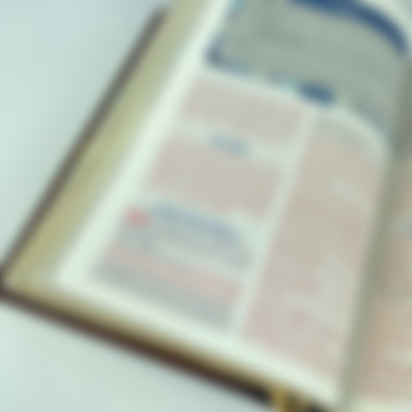 Foto A Bíblia do Pregador Fiel | ARC | Textos Coloridos | Capa Marrom