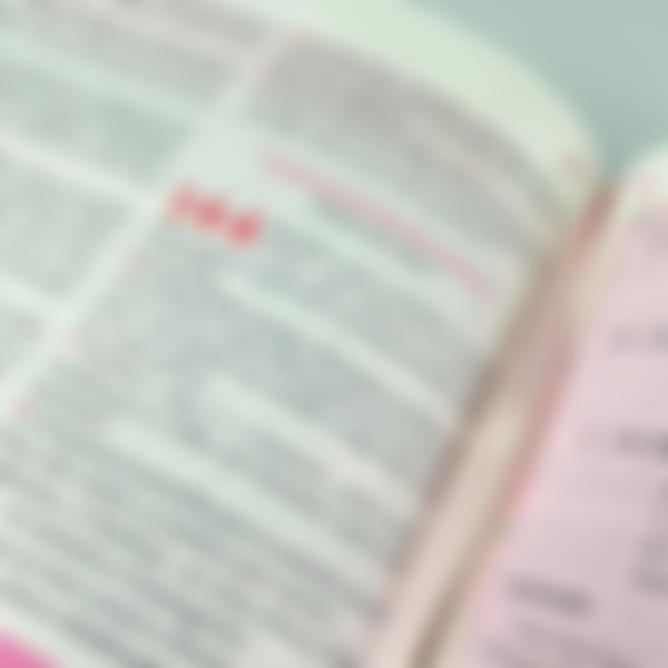 Foto A Bíblia da Pregadora Fiel | ARC | Textos Coloridos | Capa Rosa