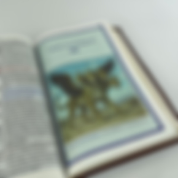 Foto Bíblia de Estudo Curas e Milagres - Bispo Rinaldo Silva | Textos Coloridos |  KJA | Capa Luxo - Marrom