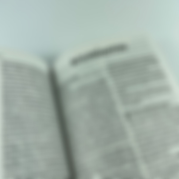 Foto Bíblia Evangelize NVI  Letra Grande | Capa Brochura Neutra
