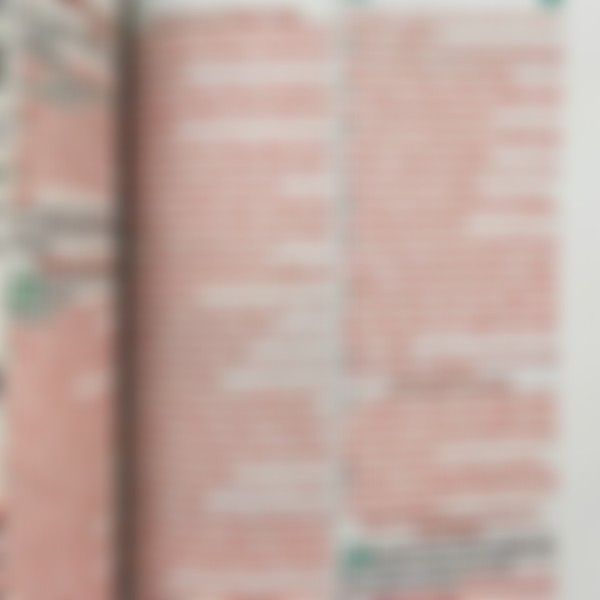Foto Bíblia ARC Capa Dura Letra Grande Com Harpa - Textos Coloridos - Ramos Flores