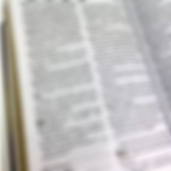 Foto Bíblia Palavra Orada E Aplicada Oração De Jeremias