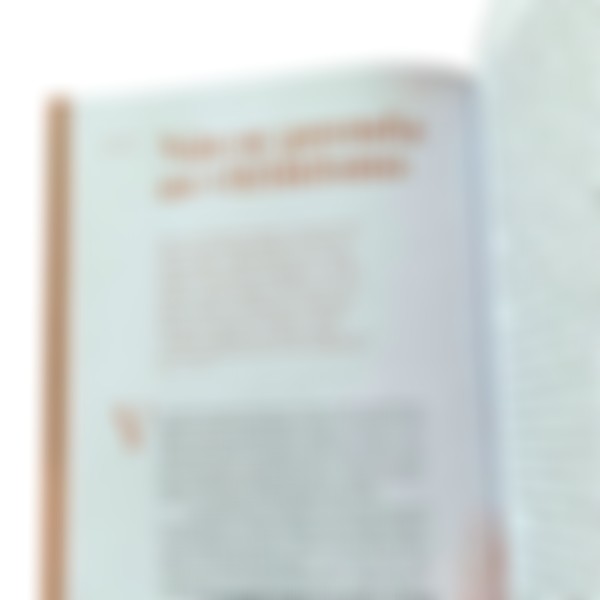 Foto Devocional Aprovada: 40 Dias De Maturidade Espiritual - Bianca Franco