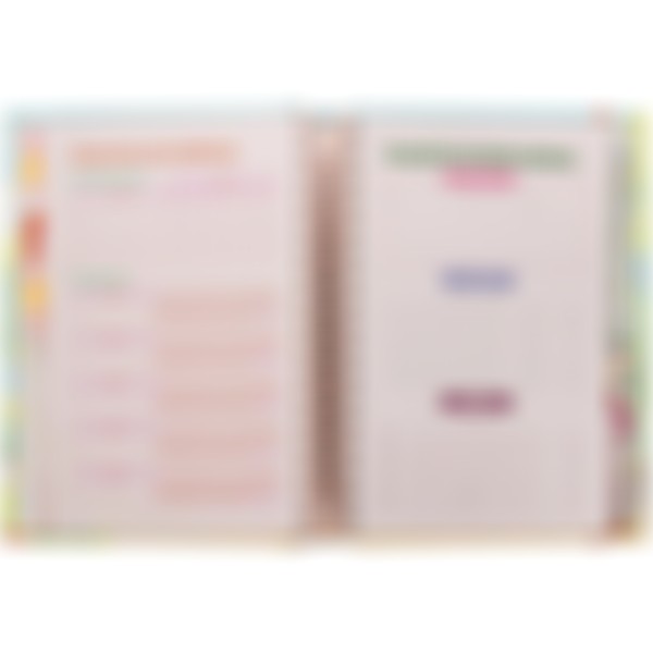 Foto Planner Meu Plano Perfeito - Capa Almofadada Dorama