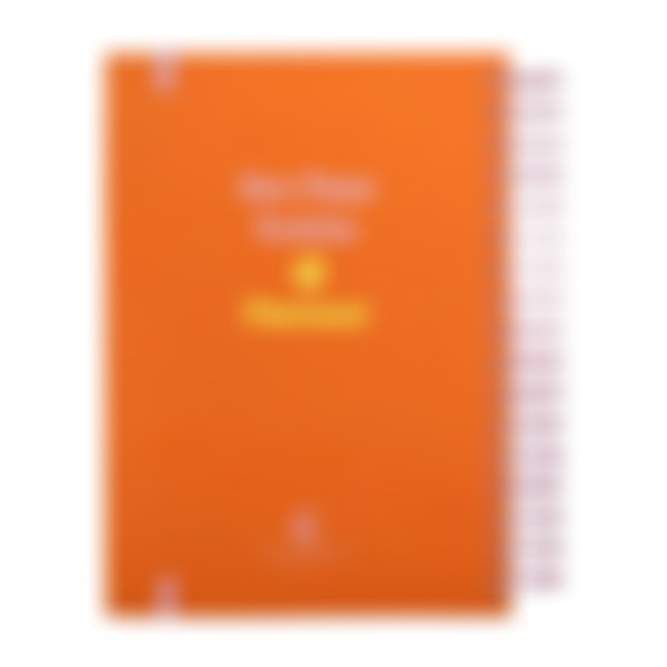 Foto Planner Meu Plano Perfeito - Capa Dura Blossom Out