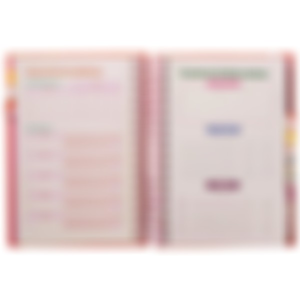 Foto Planner Meu Plano Perfeito - Capa Dura Blossom Out