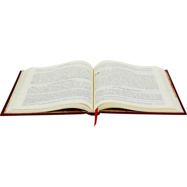 Foto Novo Testamento Grego - 5ª Edição Revisada