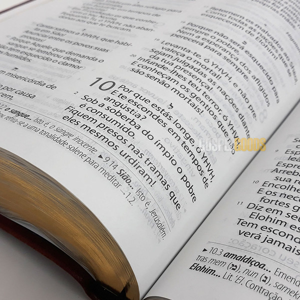 Foto Bíblia Textual - Luxo Marrom