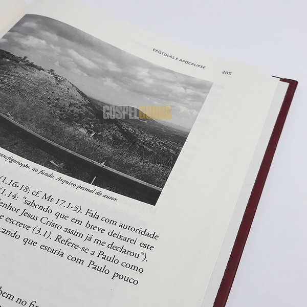 Foto Panorama do Novo Testamento - Magno Paganelli