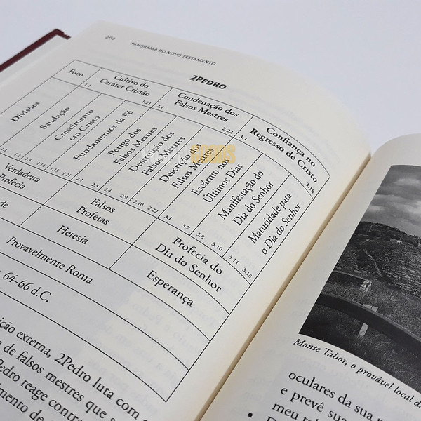 Foto Panorama do Novo Testamento - Magno Paganelli