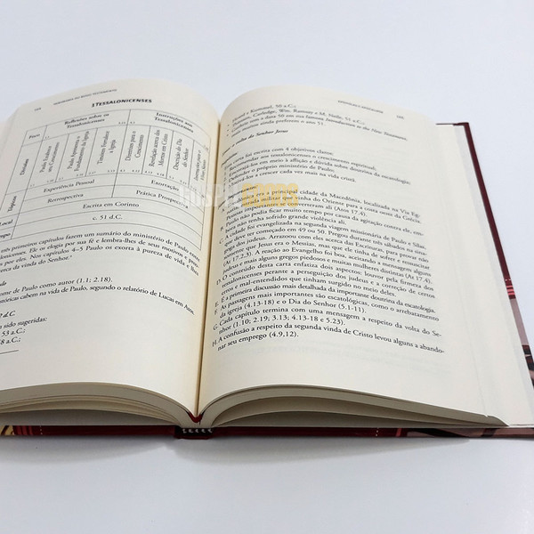 Foto Panorama do Novo Testamento - Magno Paganelli