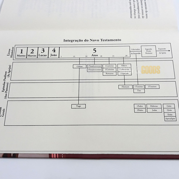 Foto Panorama do Novo Testamento - Magno Paganelli