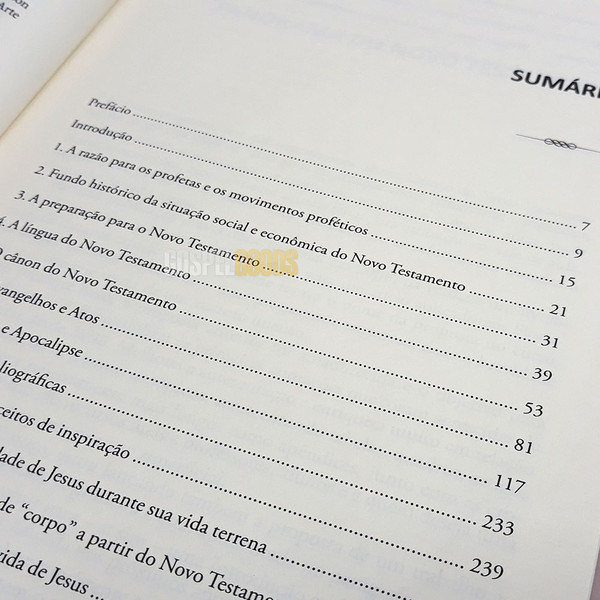 Foto Panorama do Novo Testamento - Magno Paganelli