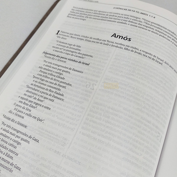 Foto Bíblia de Estudo Cronológica Integrada | NVI (Azul e Grafite)