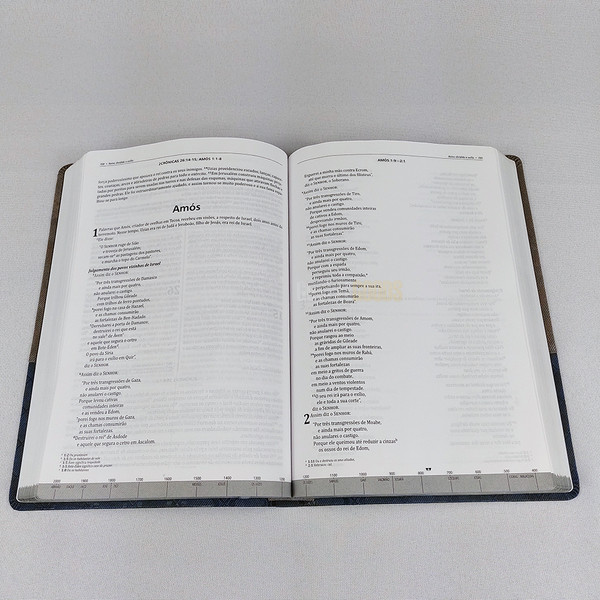 Foto Bíblia de Estudo Cronológica Integrada | NVI (Azul e Grafite)