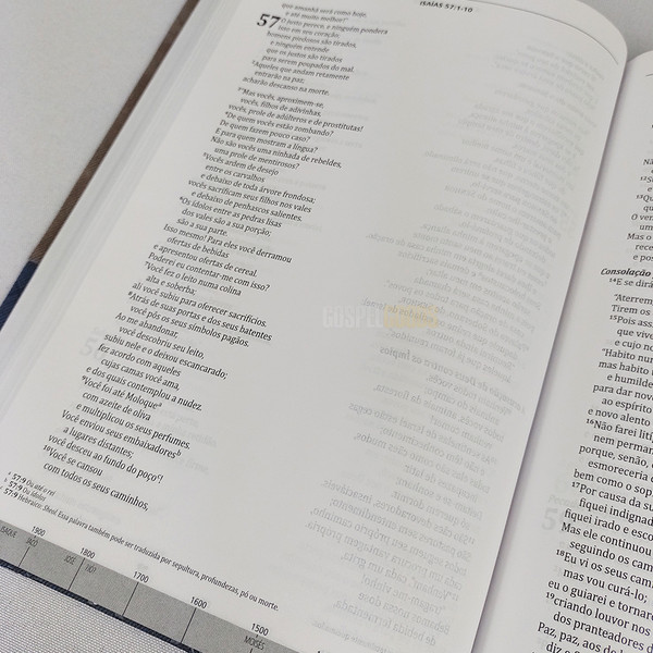 Foto Bíblia de Estudo Cronológica Integrada | NVI (Azul e Grafite)