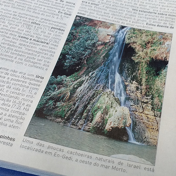 Foto Bíblia de Estudo King James 1611 - Com Estudo Holman (Capa Feminina)