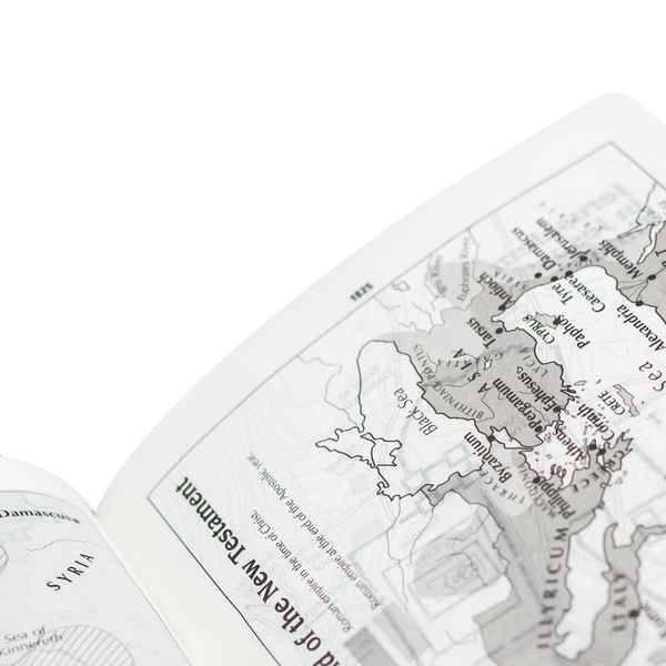 Foto Bíblia Sagrada NAA Bilíngue - Inglês/Português | Marrom