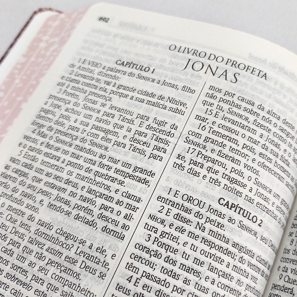 Foto Bíblia Sagrada | Púrpura | Capa Dura Especial