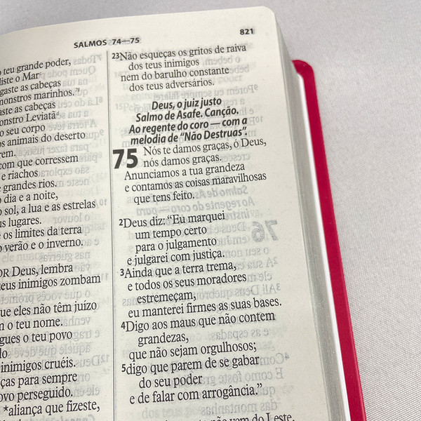 Foto Bíblia Letra Gigante NTLH - Sem Índice (Pink)