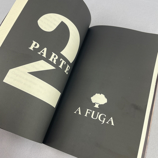 Foto A Fuga | Breno Mascarenhas Marques & Mariana Ferreira de Toledo