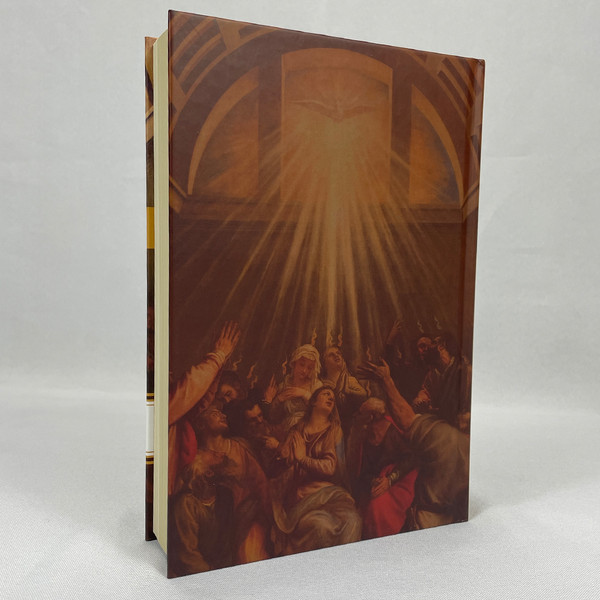 Foto Box Teologia Sistemático-Carismática - César Moisés Carvalho