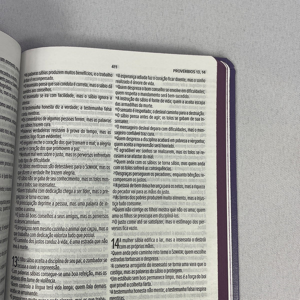 Foto Bíblia Sagrada NVT Slim | Lilás 