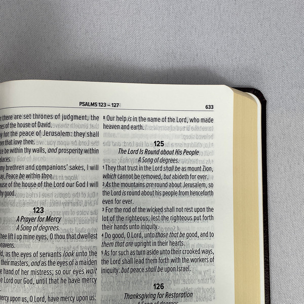 Foto Bíblia em Inglês | Holy Bible BKJ 1611 | Vinho
