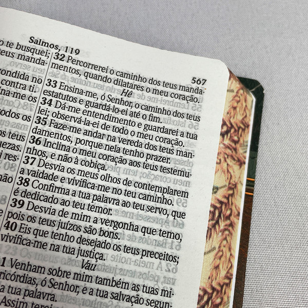 Foto Bíblia Sagrada com Letra Gigante - ARC | Verde